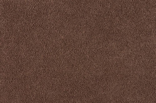Turtle mat dirt - mat,