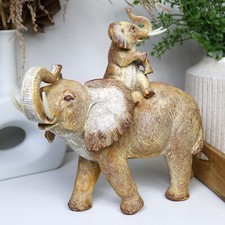 African elephant calf - elephant, &