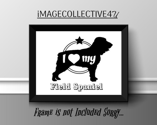 Field spaniel pet - spaniel,