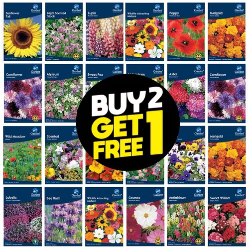 Flower seeds pansy - seeds,