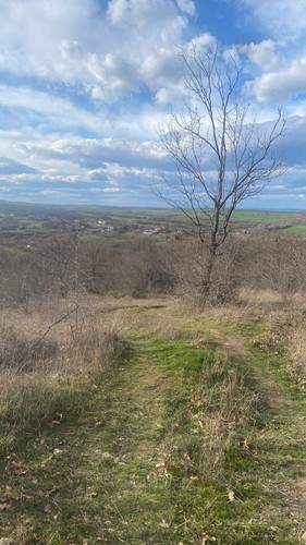 Regulated land for sale - land,