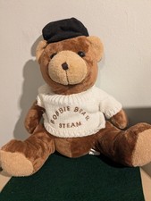 Bobbie bear plush steam - bear,