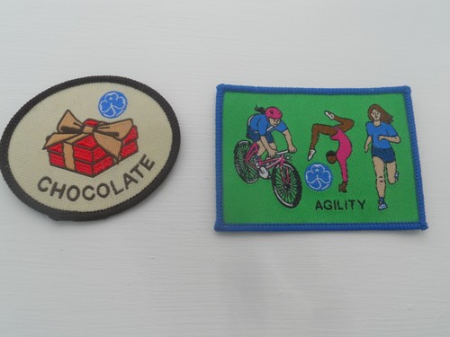 Girl guide badges - guide,