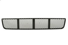 Bumper grille BLIC