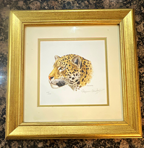 Stephen gayford mother jaguar - gayford,