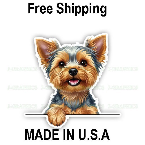 Peeking yorkshire terrier - yorkshire,