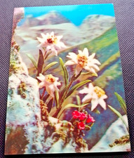 1960s vintage TOPPAN TOP