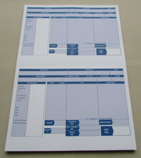 500 IRIS COMPATIBLE PAYSLIPS -