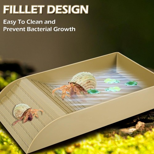 Tortoise water dish - water, dish,