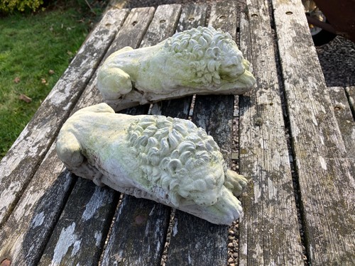 Rustic weathered lying - ,