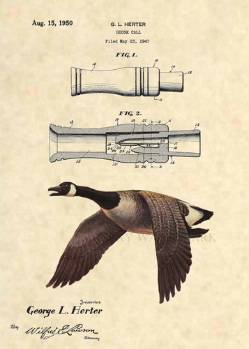 Goose call patent - goose,