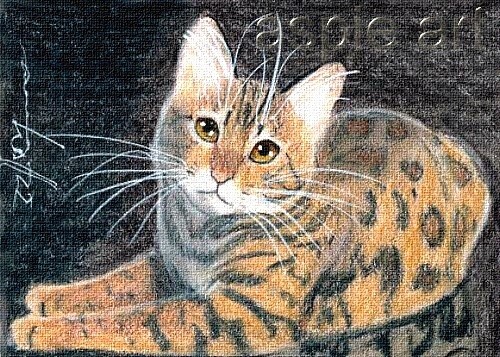 Aceo print limited edition - aceo,