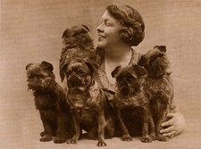 BRUSSELS GRIFFON CHARMING DOG