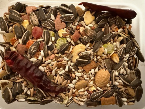 Higgins vita parrot seed mix - parrot,