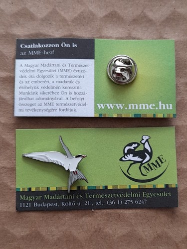 Mme arctic tern charity - tern,