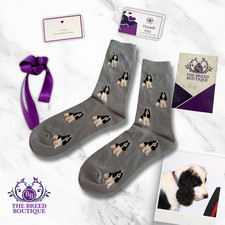 BLACK & WHITE COCKER SPANIEL