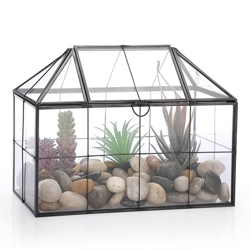 Black glass plant terrarium - plant,