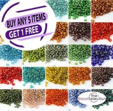 100g SILVER LINED GLASS SEED