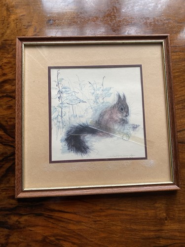 Framed print blacktail - print,