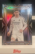 Panini Obsidian 2024/2025 |