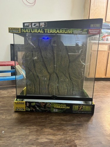 Large natural terrarium - large,