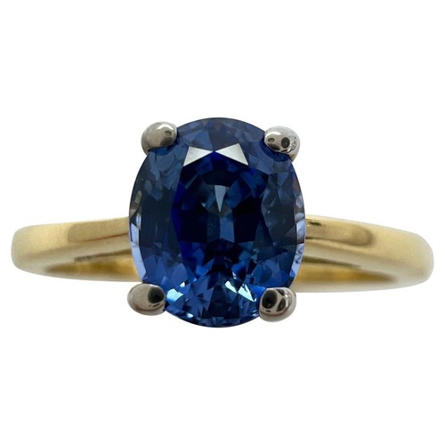 00ct vivid cornfower - vivid, blue