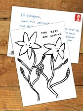 David Shrigley Brainbox Candy