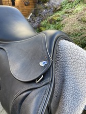 Harry Dabbs Future Jump 17”