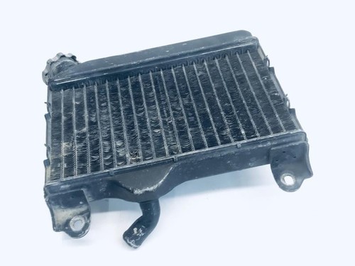 Water radiator suzuki 125 - water, rg