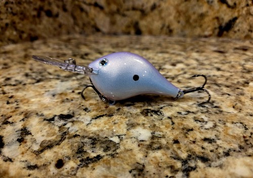 Custom painted rapala 8 - custom,