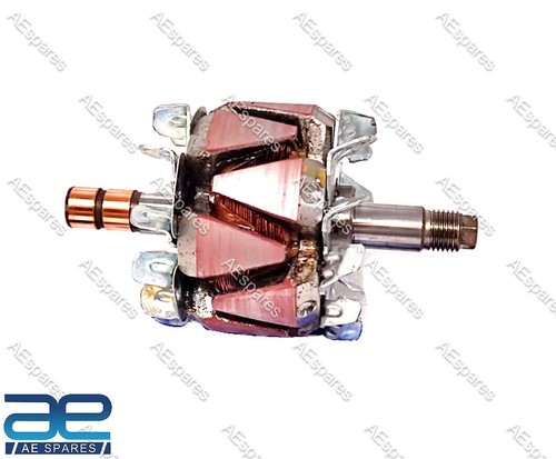 Rotor alternator assembly for - assembly,