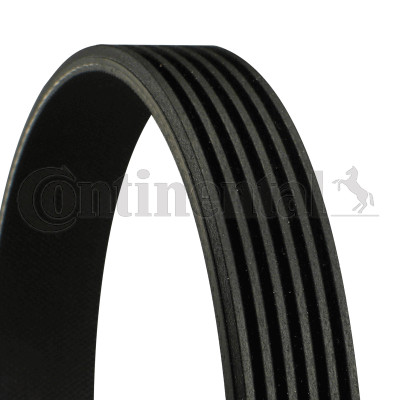 Ribbed belt continental ctam - v-ribbed,