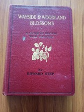 Wayside & Woodland Blossoms
