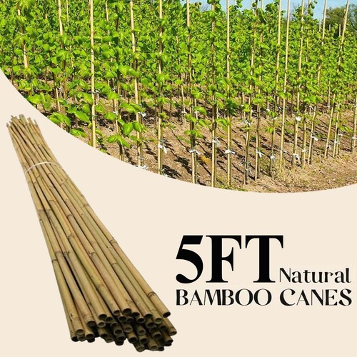 5ft large bamboo canes heavy - bamboo,