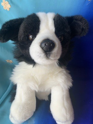 Natural world border collie - border,
