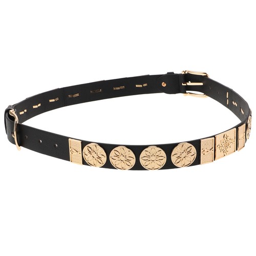Waist belt for - waist,