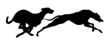 RACING GREYHOUNDS DIE CUT VINYL DECAL - DOG STICKER FOR WINDOW CAR VAN TRUCK ETC