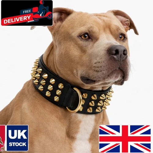 Heavy duty black - duty, dog