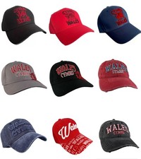 Wales Cymru Welsh Caps Hats