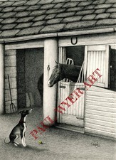 Horse Play - Fine Art Print Of