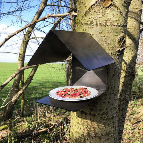 Bird feeder wild seed mounted - wild,