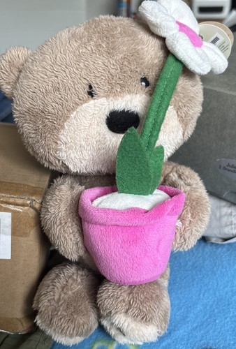 Card factory hugs - factory, bear