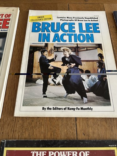 Bruce lee action - bruce, in