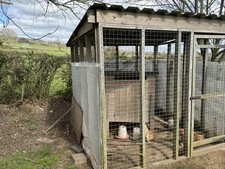 Chicken Coop and Run The