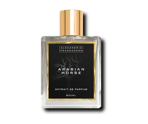 Arabian horse - arabian,