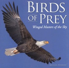 Birds prey winged - birds, of