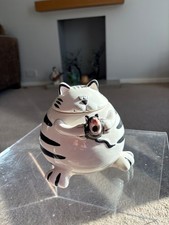 black and white stripe cat