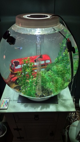 Fish tank orb 60l - tank,