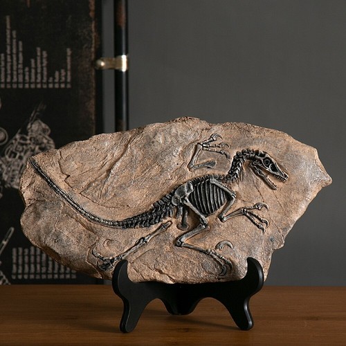 Resin dinosaur fossil statue - fossil,