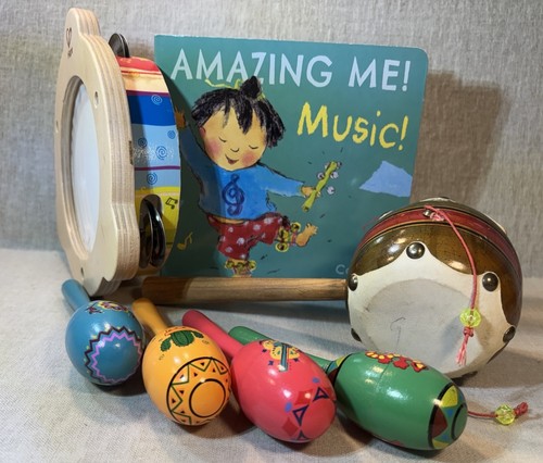 Kids musical instrument bundle - musical,